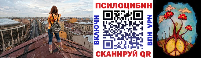 Галлюциногенные грибы прущие грибы  Котельнич 